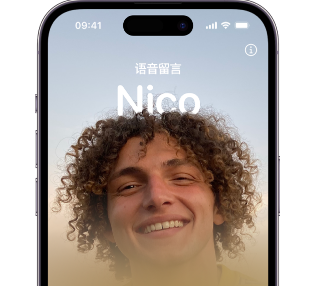 南开苹果15服务站分享iPhone15实时语音留言开启方法 