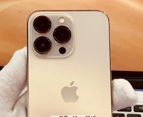 南开苹果13维修中心分享如何在iPhone13上设置动态壁纸